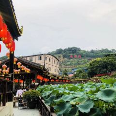 鲜龙井火锅公园(南山店) User Photo