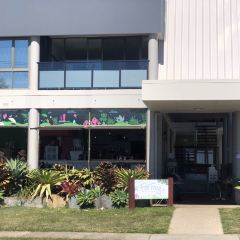 Fat Frog Beach Cafe User Photo