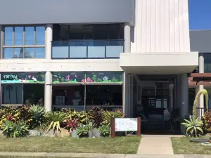 Fat Frog Beach Cafe