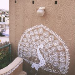 Peacock Rooftop Restaurant at Hotel Pearl Palace User Photo