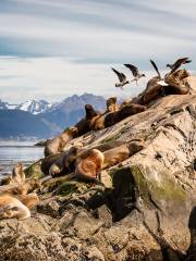 Beagle Channel