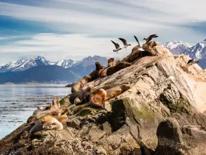 Beagle Channel