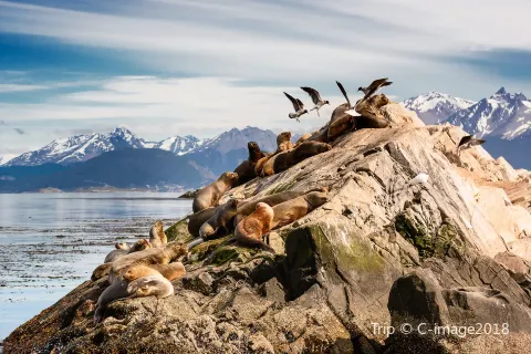 Beagle Channel