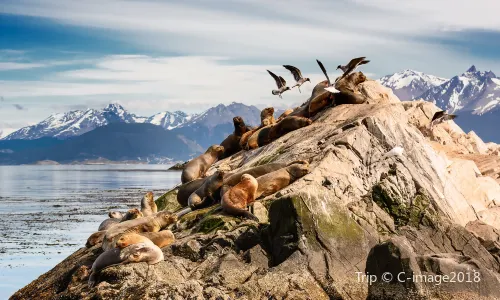 Beagle Channel