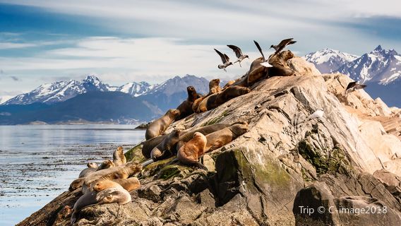 Beagle Channel