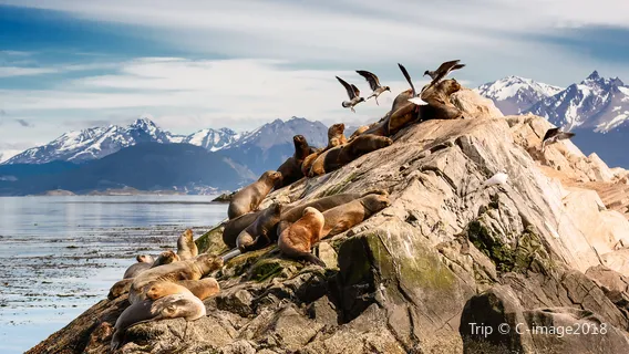Beagle Channel