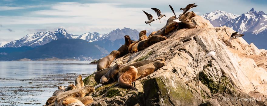 Beagle Channel