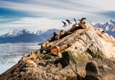 Beagle Channel