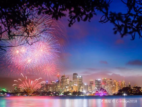 New Year Fireworks Show in Sydney