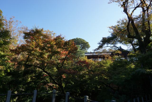 東福寺
