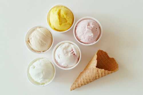 Birds of Paradise Gelato Boutique