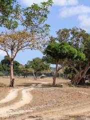 Palawan Wildlife Rescue and Conservation Center (Crocodile Farm)