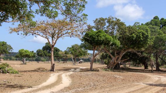 Palawan Wildlife Rescue and Conservation Center (Crocodile Farm)