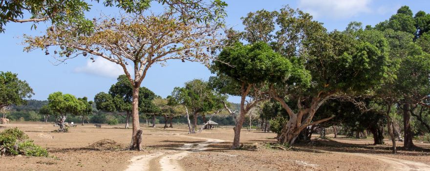 Palawan Wildlife Rescue and Conservation Center (Crocodile Farm)