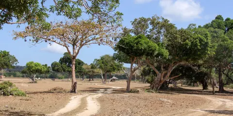 巴拉望野生動物救援和保護中心