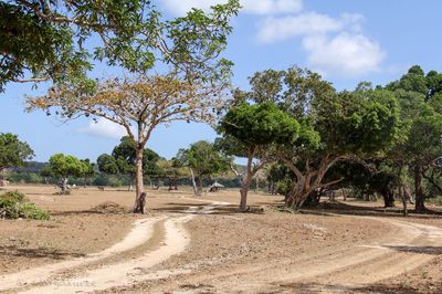 Palawan Wildlife Rescue and Conservation Center (Crocodile Farm)