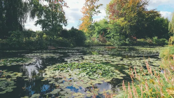 Versailles Palace, Versailles Gardens, and Monet's Garden one-day tour[Chartered private charter]