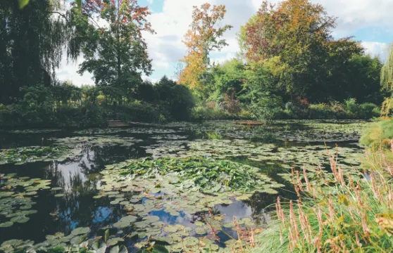 凡爾賽宮+凡爾賽宮花園+莫奈花園一日遊【私人專線】