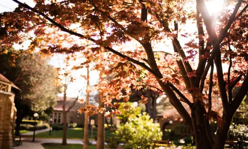 Đại học Stanford