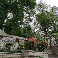 筆山公園旅遊攻略指南 筆山公園評價 筆山公園附近推薦 Trip Com