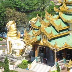 Dagon Kyaw User Photo