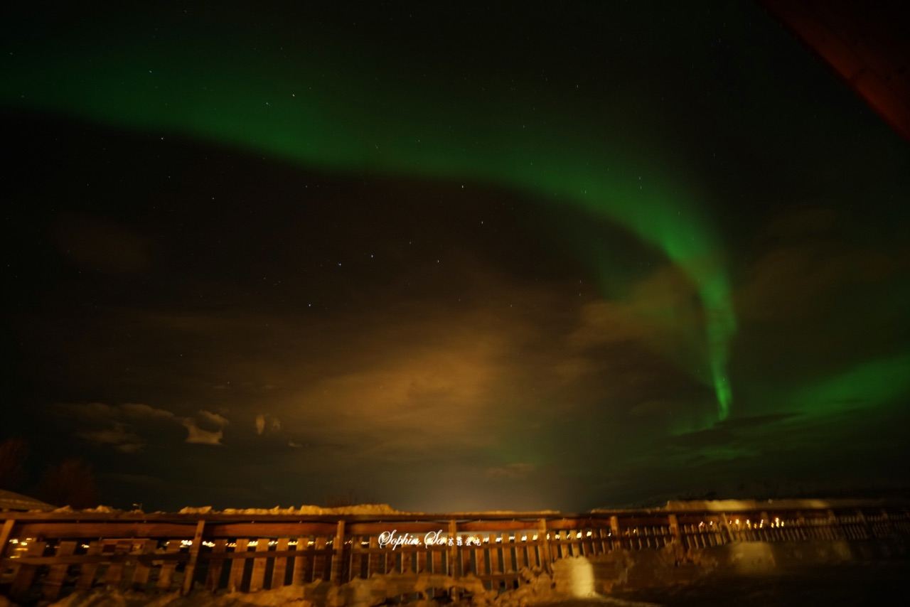 ノルウェー・トロムソでオーロラ追跡体験 バス/トナカイ/ハスキー/スノーモービル/遊覧船から選択可能