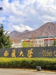 티벳 대학교-나진/나금 캠퍼스