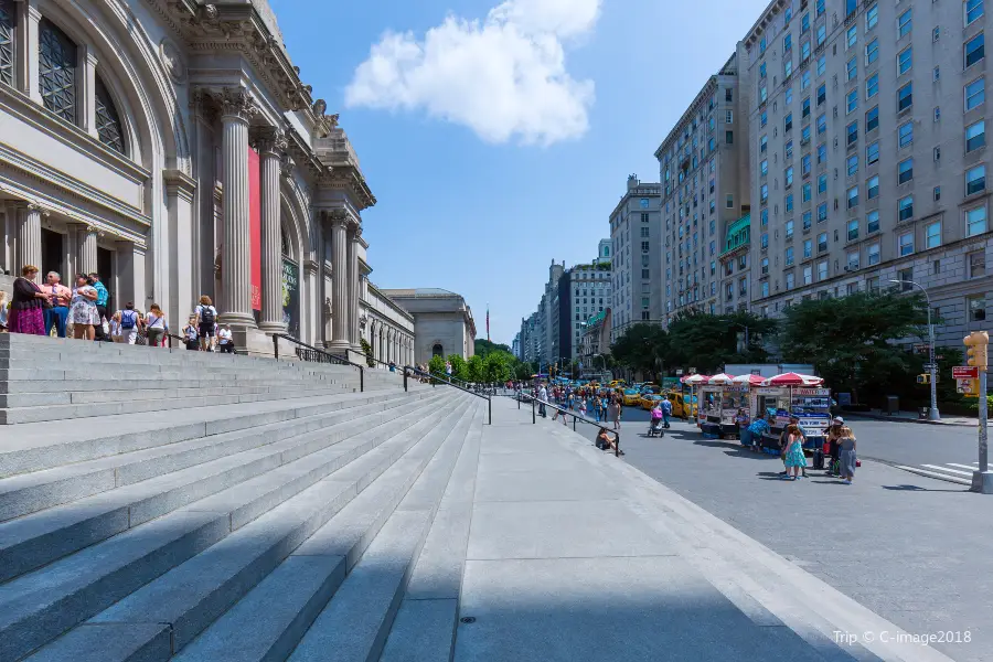 The Metropolitan Museum of Art