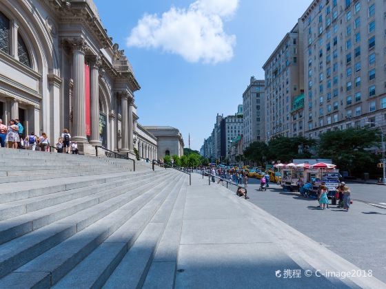 The Metropolitan Museum of Art