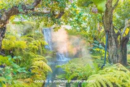 Chom Cafe and Restaurant