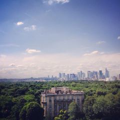 L'As du Fallafel張用戶圖片