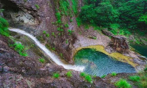 Tonglingshan National Forest Park