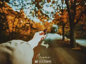 老界嶺旅遊度假區