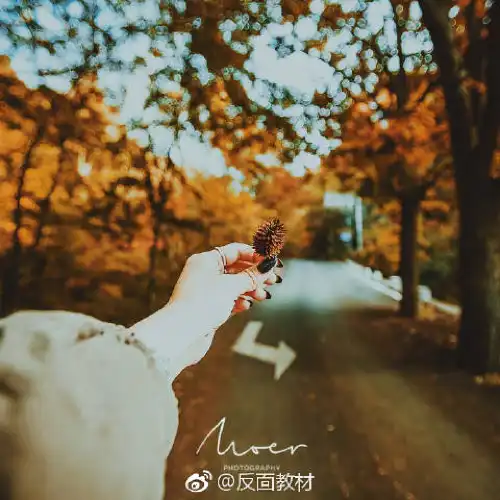 Top 10 Fall Viewing Attractions in Nanyang