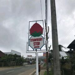 Strawberry Stop User Photo
