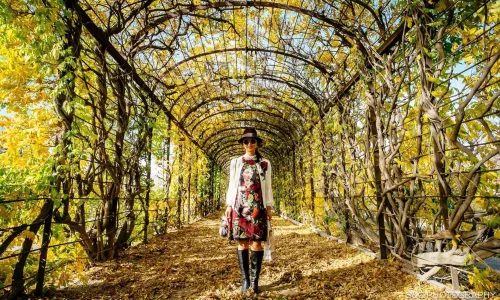 Palazzo di Schönbrunn