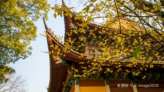 紹興新昌大佛寺景區半日遊【探訪新昌大佛寺+人員導覽服務】