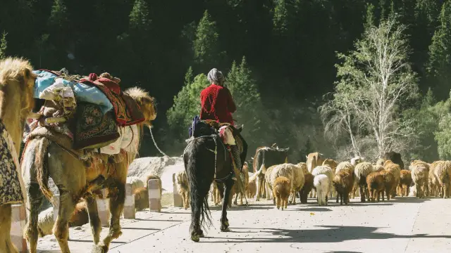 Horse Riding in Burqin