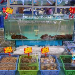 JINJIAGANG User Photo