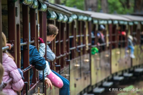 Puffing Billy Railway