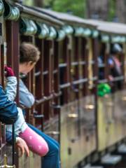 Puffing Billy Railway