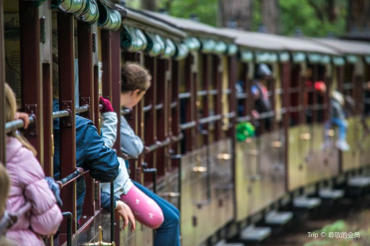 Puffing Billy Railway