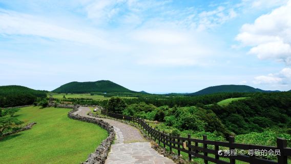 濟州市日遊