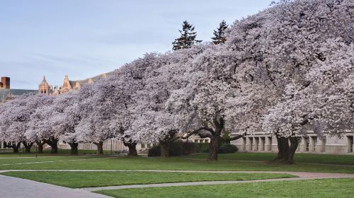 University of Washington