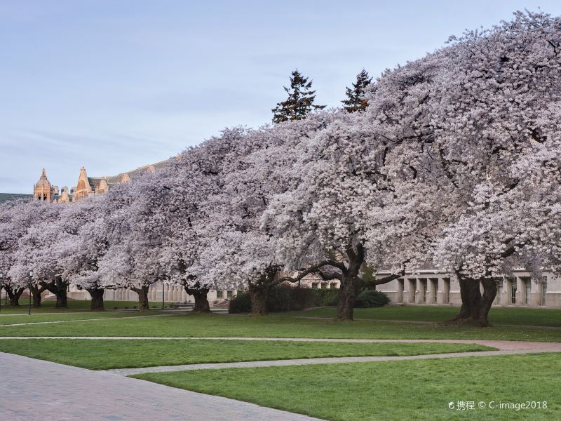 University of Washington