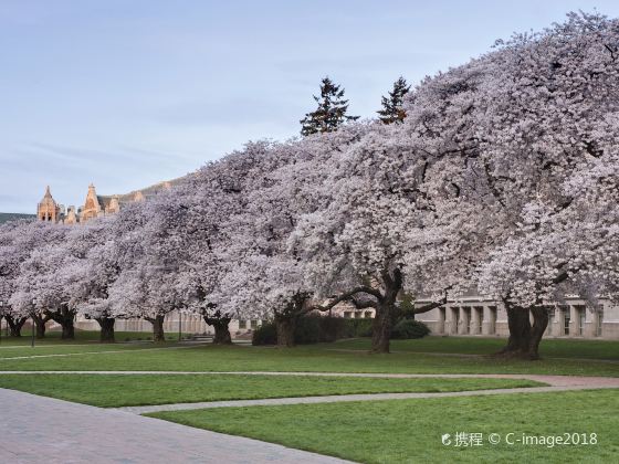 University of Washington