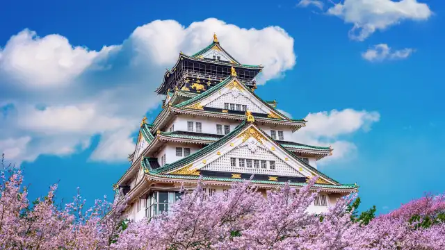 Hotels near Osaka Castle Museum
