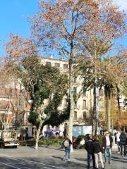 Plaza de Espana