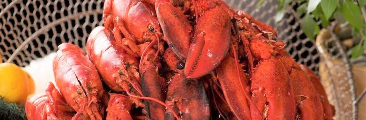 Fresh International Buffet | Solaire Resort Entertainment City