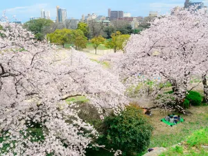 마이즈루 공원